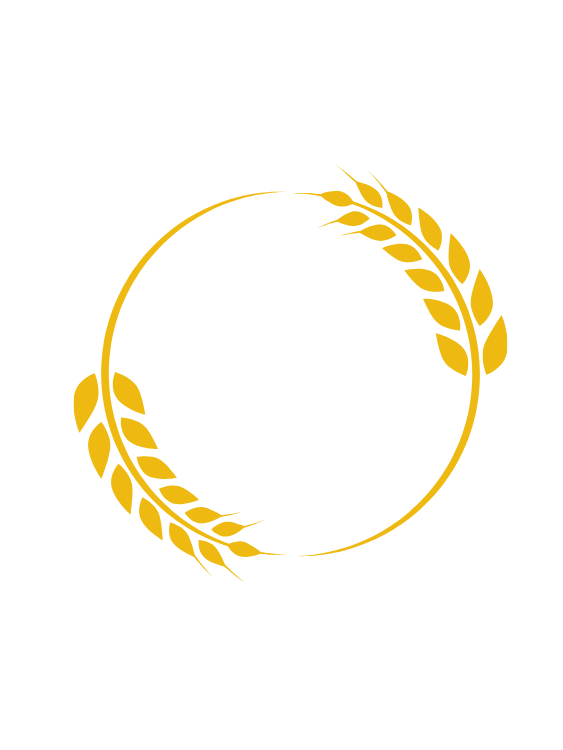 BM7 LOCAÇÕES